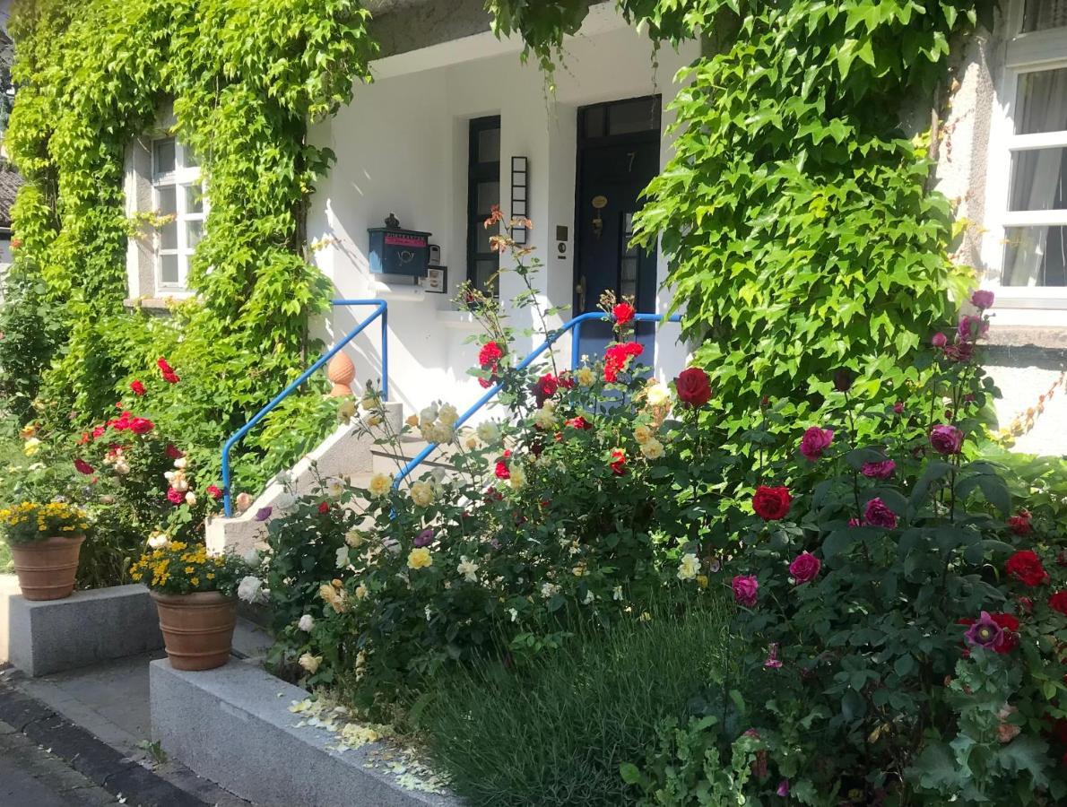 Kunsthaus Mit Gartensauna Dierdorf ภายนอก รูปภาพ